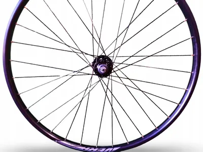 Image de Roue avant vélo 27,5" Vera Terra DPD16 ETRTO 584-20 QR Disc 6 trous