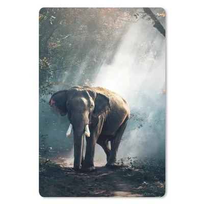 Produktbild von MuchoWow® Mauspad Mousepad Elefant - Tiere - Licht - Wald - Natur - Wildtiere 18x27 cm - Mousepads - Maus Mat - Pad - Mausunterlage