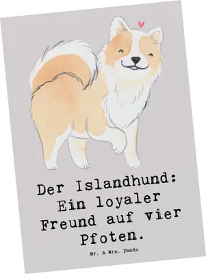 Produktbild von Mr. & Mrs. Panda Postkarte Treuer Islandhund - Grau Pastell - Geschenk, Ansichtskarten, loyaler Hund, Ansichtskarte, Grußkarte, Hundeliebhaber, Hunderassen Pflege, Hunde