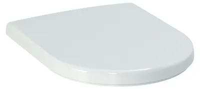 Image de LAUFEN PRO Siège de WC, avec couvercle, amovible, abaissement automatique, H8919513490031