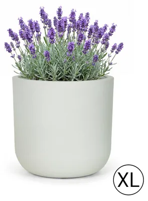 Obrázek produktu pro Květináč na Zahradu Terasu Balkon do Domu Mazovia Mrazuvzdorný, Odolný proti UV, Voděodolný Bílý Ecru PP 56x56x54 cm
