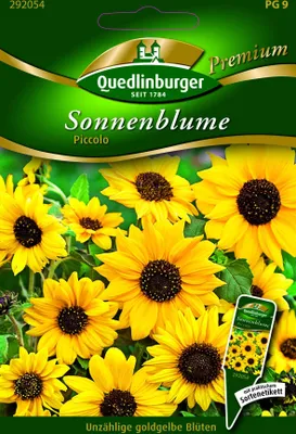 Produktbild von Sonnenblumen, Piccolo