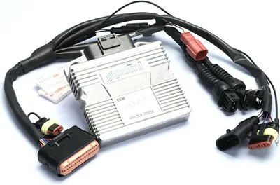 Immagine prodotto di Centralina ECU POLINI vespa gts 300 e4