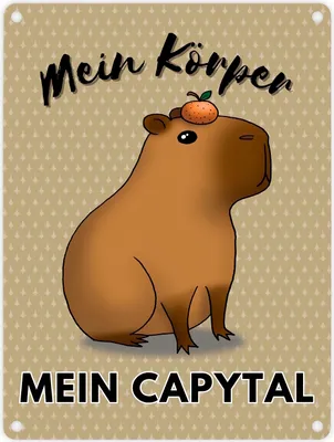Produktbild von Mein Körper mein Capytal Metallschild in 15x20 cm mit niedlichem Capybara