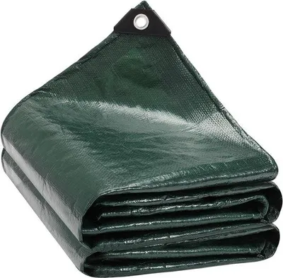 Productafbeelding van Afdekzeil met Ogen, 2 x 6 m, Groen, Waterdicht, Multifunctioneel