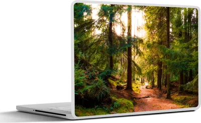 Produktbild von MuchoWow® Laptop Aufkleber Sticker Cover Wald - Weg - Bäume - Grün - Sonne - Natur 40x30 cm - Laptop Dekoration - Selbstklebend