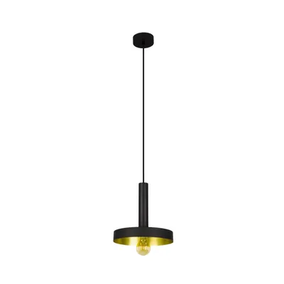 Image de WHIZ suspension noire 1 ampoule