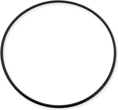 Produktbild von Casio Bodendichtung schwarz | O-Ring Packing EF-128D EF-502D EFR-529