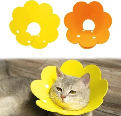 Image de Collier anti-morsure pour chat, souple, lot de 2