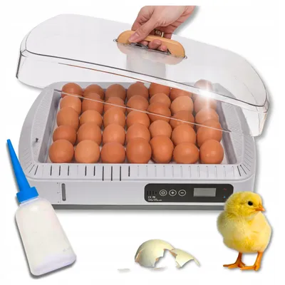 Obrázek produktu pro Automatický líhovač na 35 vajec, líhovač pro drůbež