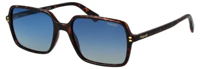 Image de POLAROID SUNGLASSES Lunettes de soleil PLD 6247_S 56086Z7