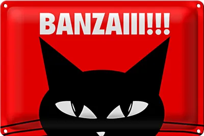 Produktbild von Blechschild Spruch 18x12cm Katze Banzaiii!!!