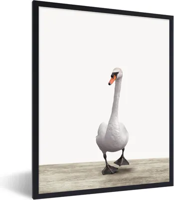 Produktbild von MuchoWow® Gerahmtes Poster Schwan - Tiere - Vogel - Jungen - Mädchen - Kinder 60x80 cm - Poster mit Schwarzem Bilderrahmen Wandposter Rahmen Foto Bilder - Premium - Wanddeko Wohnzimmer