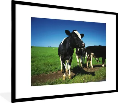 Produktbild von MuchoWow® Gerahmtes Poster Kuh - Gras - Tiere 80x60 cm - Poster mit Schwarzem Bilderrahmen Wandposter Rahmen Foto Bilder - Schlafzimmer-Dekorationen - Fotoposter
