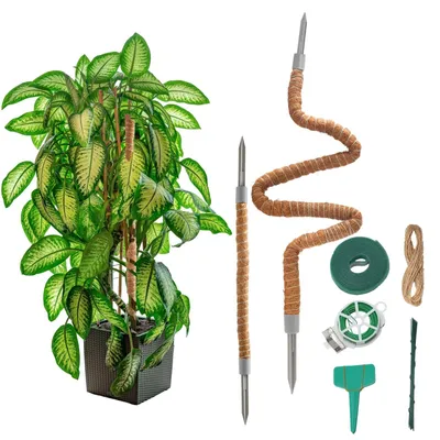 Image de Support pour plantes - Treillis pliable pour plantes grimpantes, en fibres de coco