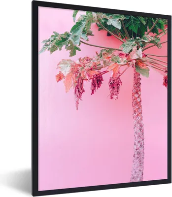 Produktbild von MuchoWow® Gerahmtes Poster Palme - Tropisch - Rosa - Sommer 60x80 cm - Poster mit Schwarzem Bilderrahmen Wandposter Rahmen Foto Bilder - Premium - Wanddeko Wohnzimmer