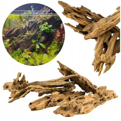 Immagine prodotto di Legno per acquario Dragon Wood decorazioni acquario naturale, radici per nano acquario, set assortito 4-6 pezzi