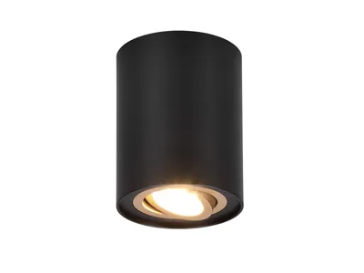 Obrázek produktu pro Bodové svítidlo COOKIE pro povrchovou montáž 612900180 Trio