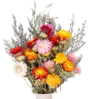 Produktbild von Bouquet aus getrockneten Blumen Kamille und Strohblume mehrfarbig 30 cm