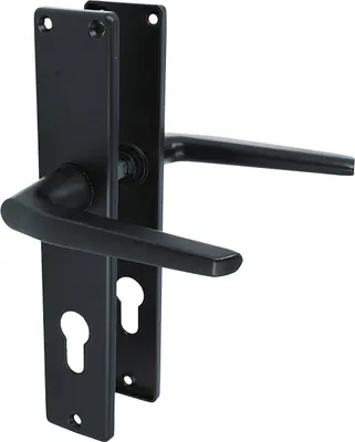 A black door handle set with a long backplate and two keyholes.