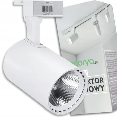 Image de Decorya Projecteur LED sur rail 30W Blanc Froid