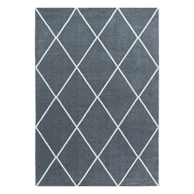Obrázek produktu pro 80x150 cm Kusový koberec Rio 4601 silver