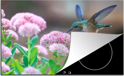 Produktbild von KitchenYeah© Herdabdeckplatte Blumen - Vogel - Kolibri , 81x52cm, Küche Deko, Glaskeramikkochfeld Herdabdeckung, Abdeckplatte fùr Kochfeld