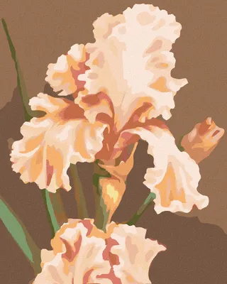 Image de Zuty - Peinture par numéros - IRIS ROSE (MYROSLAVA VOLOSCHUK), 40 x 50 cm, sans cadre et sans toile tendue