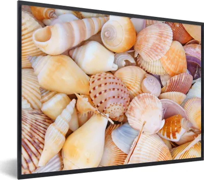Produktbild von MuchoWow® Gerahmtes Poster Muscheln - Strand - Sommer - Orange 40x30 cm - Poster mit Schwarzem Bilderrahmen Wandposter Rahmen Foto Bilder - Kunstposter - Wanddekorationen