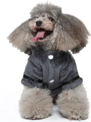 Produktbild von ZELURXX Hundebademäntel, Hundemäntel, Kätzchenkleidung, Welpenkleidung, Herbst-/Winterkleidung für Haustiere, Haustier Schlafanzüge, Größe L
