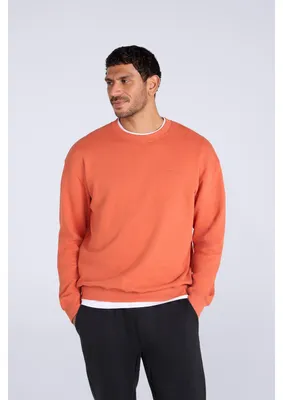 Immagine prodotto di Animal - Felpa da uomo "Jonah" MW3340 (XS) (color ruggine)