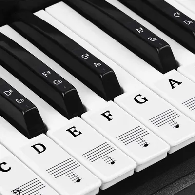 Produktbild von Klavieraufkleber – Tastaturaufkleber – leicht zu erlernende Musiknoten – 49/54/61/88 Tasten – Schwarz