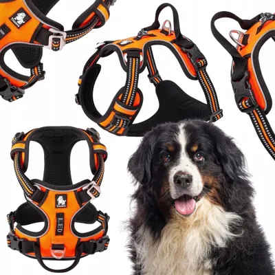 Immagine prodotto di Truelove, pettorina premium per cani, colore arancione, taglia XL