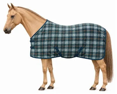 Produktbild von Fleece Abschwitzdecke kariert Größe (Pferdedecke) - 155 cm Fleece Abschwitzdecken Fleece Karriert - grün/weiß/orange