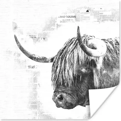 Produktbild von MuchoWow® Poster Schottischer Highlander - Abstrakt - Schwarz - Weiß 100x100 cm - Babyzimmer