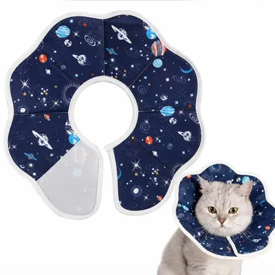 Produktbild von Katzen Schutzkragen M 19–25 cm, Weiche Halskrause mit Klettverschluss, Wasserdicht, Faltbar, Für Wundschutz und Genesung