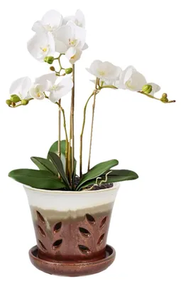 Produktbild von Keramiktopf für Orchideen mit Abflusslöchern und Unterteller