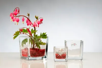Produktbild von Windlicht "CUBE" 6cm x 6cm | Teelichtglas Kerzenglas Blumentopf