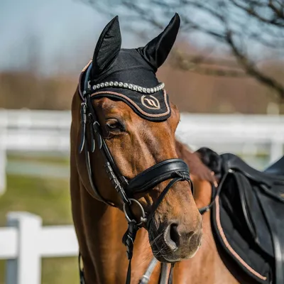 Produktbild von Back on Track Haze Collection Fliegenhaube