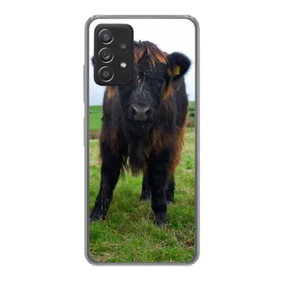 Produktbild von MuchoWow® Handyhülle Schutzhülle Hülle für Samsung Galaxy A33 5G Schottische Highlander - Kühe - Natur - Grün - Gras Silikon Softcase Handy Hülle - Kartenhalter