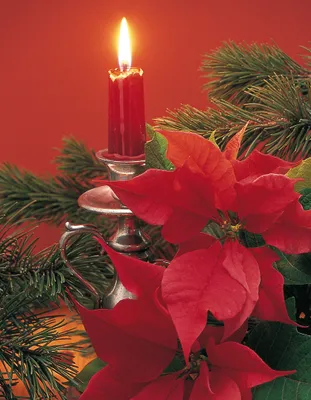 Produktbild von Weihnachten - Midi-Karten - Glückwunschkarte im Format 7 x 9 cm mit