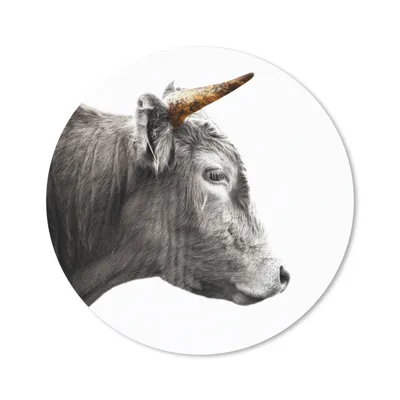 Produktbild von MuchoWow® Mauspad Mousepad Schottischer Highlander - Schottische Kuh - Goldene Hörner 20x20 cm - Mousepads - Maus Mat - Pad - Mausunterlage - Schreibtischmatte