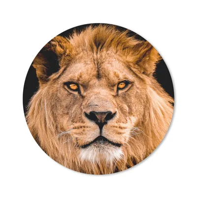 Produktbild von MuchoWow® Mauspad Mousepad Löwe - Porträt - Schwarz 50x50 cm - Mousepads - Maus Mat - Pad - Mausunterlage - Vinyl