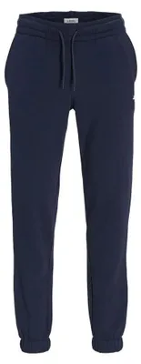 Imagen del producto de Pantalón de entrenamiento Jj Rebel Gorm Reg Rebel, logo, color azul, talla M, para hombre, color azul, talla M