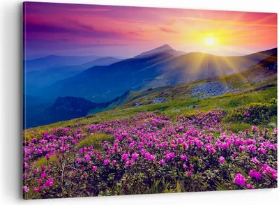 Produktbild von Bild auf Leinwand - Leinwandbild - Wiese Berge Landschaft - 120x80cm - Wand Bild - Wanddeko - Leinwanddruck - Bilder - Kunstdruck - Wanddekoration - Leinwand bilder - Wandkunst - AA120x80-2676