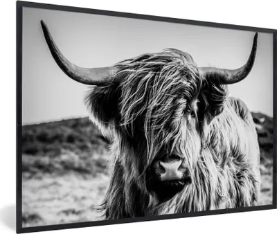 Produktbild von MuchoWow® Gerahmtes Poster Schottischer Highlander - Natur - Kuh - Schwarz - Weiß 60x40 cm - Poster mit Schwarzem Bilderrahmen Wandposter Rahmen Foto Bilder - Printing - Wanddeko Schlafzimmer