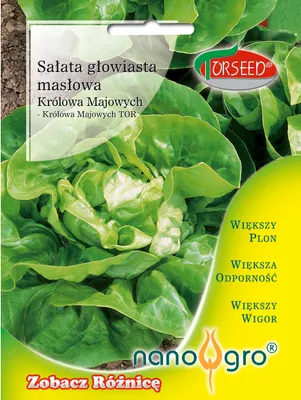Zdjęcie produktu dla Nasiona sałaty siewnej Queen of May - Torseed