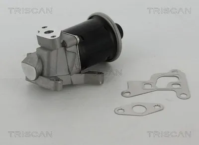 Produktbild von TRISCAN 8813 29100 AGR-Ventil mit Dichtungen für VW Lupo (6X1, 6E1) Abgasrückführungsventil