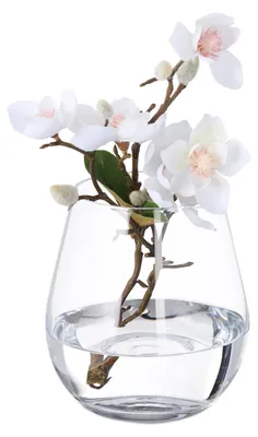 Glase Blumenvasen, rund, HxØ 16x14 cm, transparent