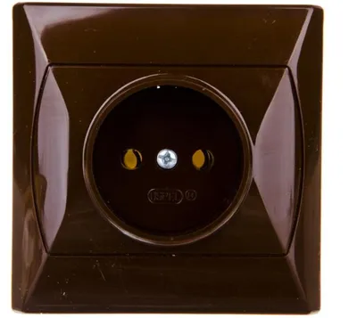 Image de OSPEL Prise simple sans mise à la terre Marron GP-1/24 1 WZT